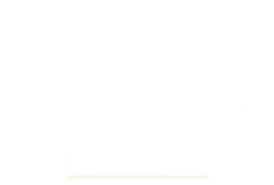 DM Homes